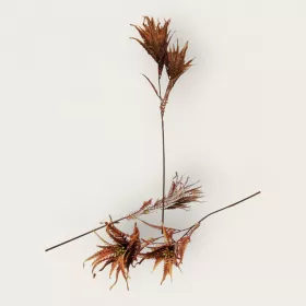 أغصان ورق طويلة