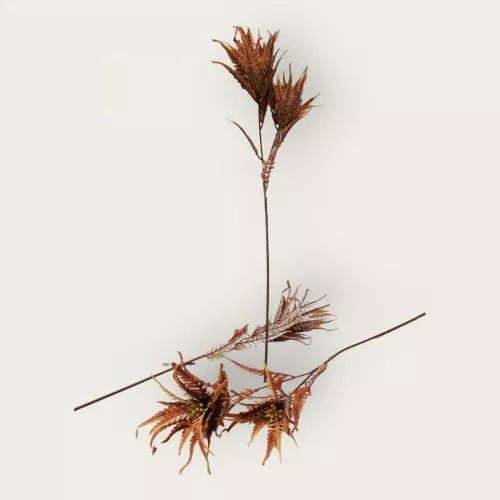 أغصان ورق طويلة