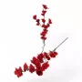 أزهار الربيع طويلة