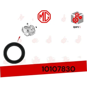 MG-ZS - صوفة جير داخل