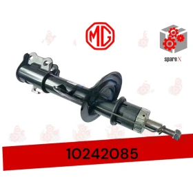 MG ZS مساعد امامي يمين