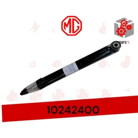 MG ZS مساعد خلفي