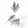 غصن ورق صبار طويل