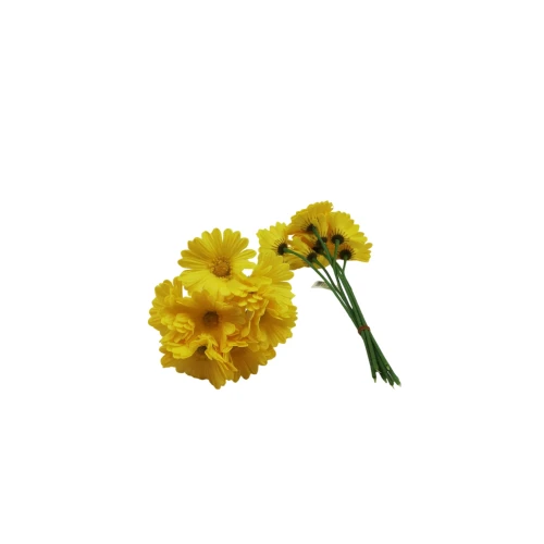 ورد جلبيرا 7 فروع 