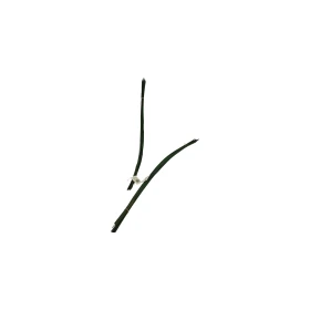 سلقراس