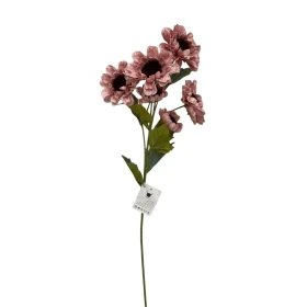   اغصان دوار الشمس جلد 