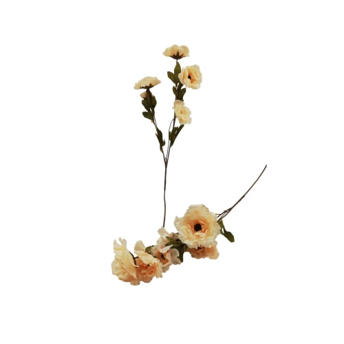 غصن دوار الشمس