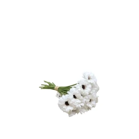 وردة جلبيرا