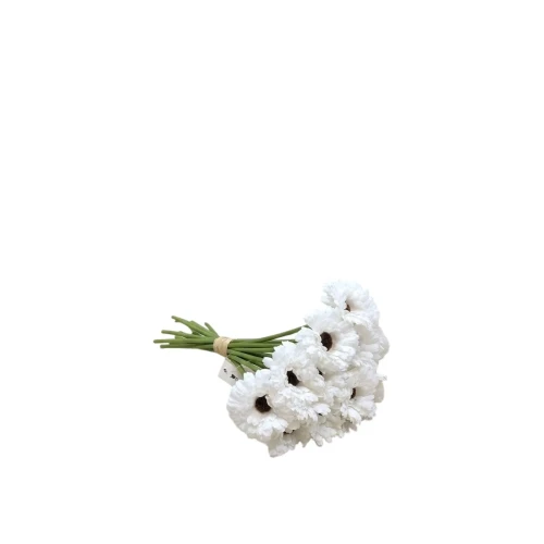 وردة جلبيرا
