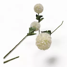 أغصان ورد قرنفل طويلة