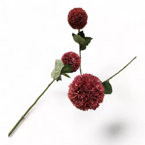 أغصان ورد قرنفل طويلة