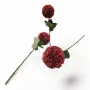 أغصان ورد قرنفل طويلة