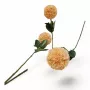أغصان ورد قرنفل طويلة