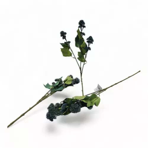 أغصان زهرة الحبش