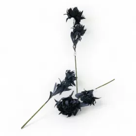 أغصان ورد اقحوان